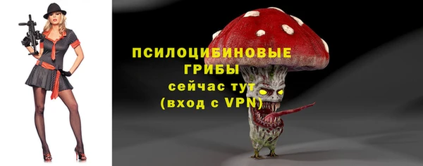 мескалин Медногорск