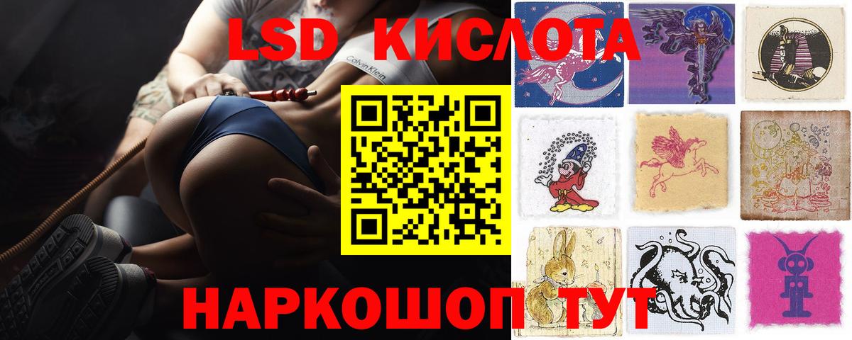 Новозыбков  ЛСД экстази кислота  Лсд 25 экстази  Лсд 25 экстази ecstasy  Вход с VPN 