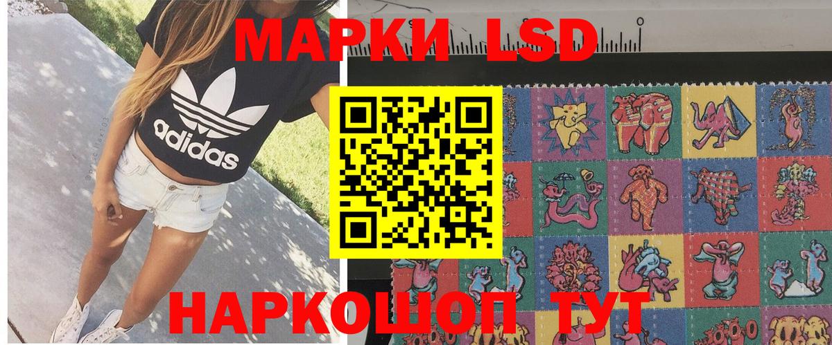 Наркотические марки 1500мкг Новозыбков