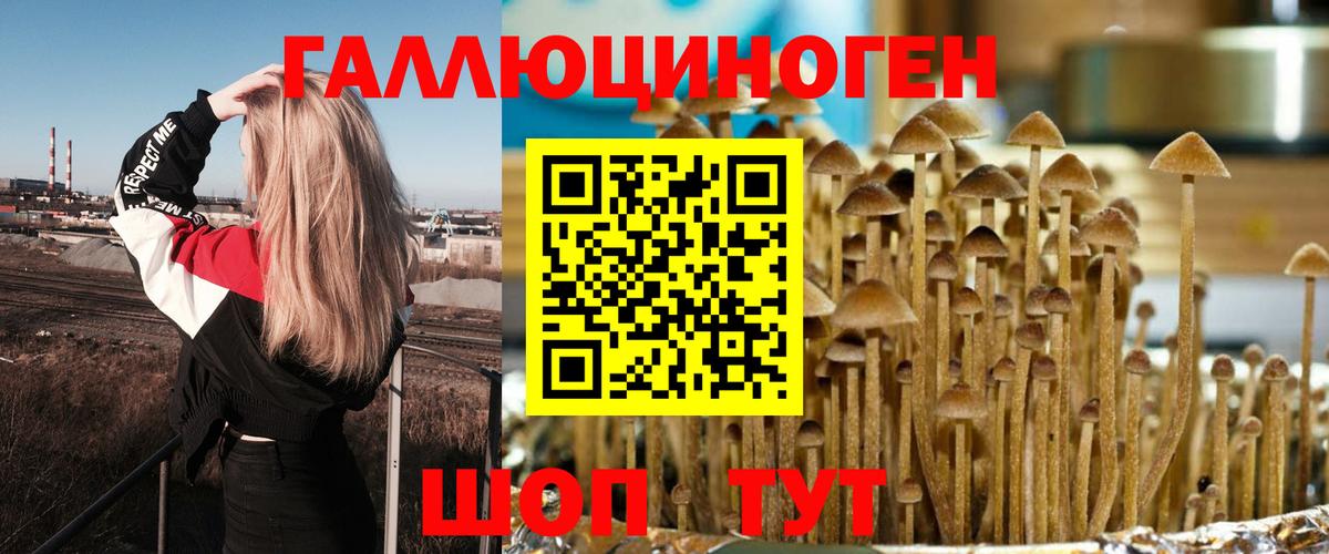 Галлюциногенные грибы Cubensis Новозыбков