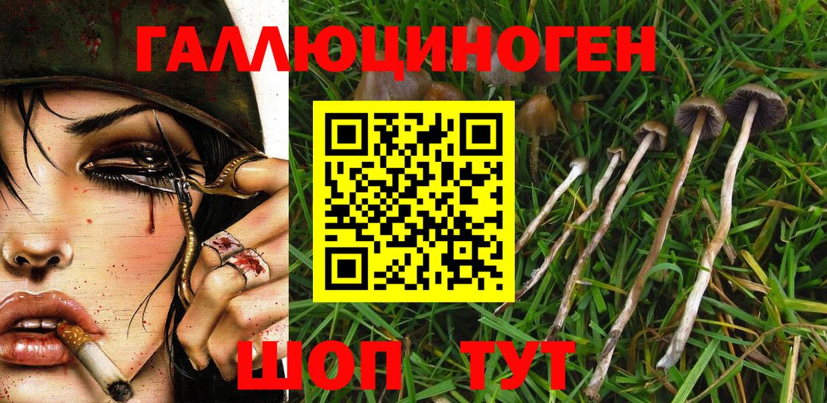 Псилоцибиновые грибы прущие грибы  Галлюциногенные грибы Psilocybine cubensis  Вход с VPN  Новозыбков 