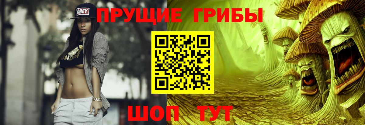 Псилоцибиновые грибы прущие грибы Новозыбков