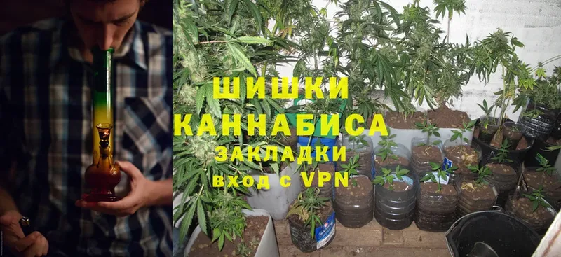 Конопля SATIVA & INDICA  Новозыбков 