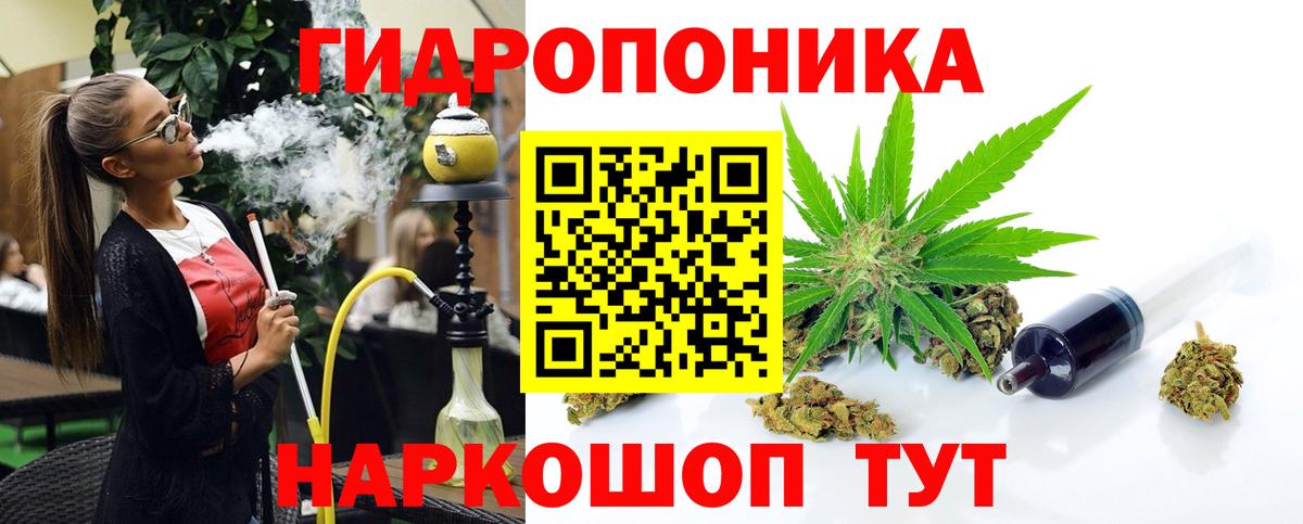 Гашиш  Новозыбков  Цена  ГАШИШ  Канабис  МЕФ кристаллы  ТГК  Вход с VPN  КОКАИН 